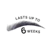 Brow Tint Kit Black Lasts up to weeks