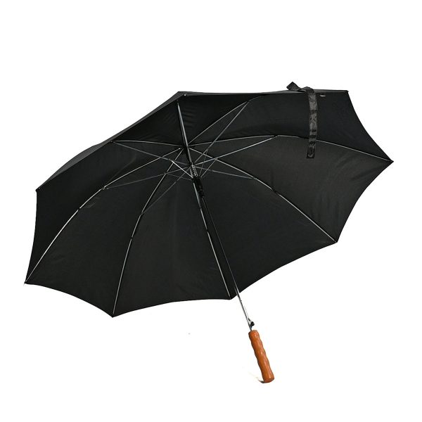 BROLLY INSIDE web friendly 1